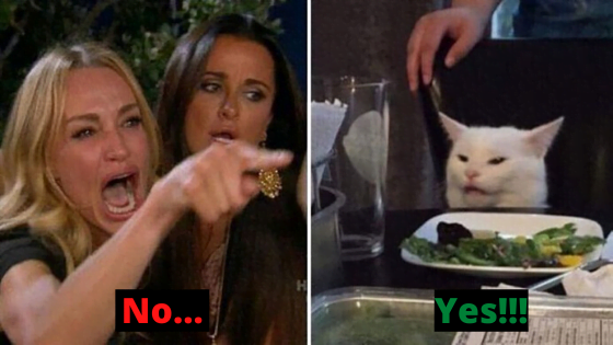 woman yelling at cat